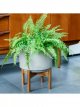 Concrete Indoor Plant Pot with Wood Stand, 22cm, Cement